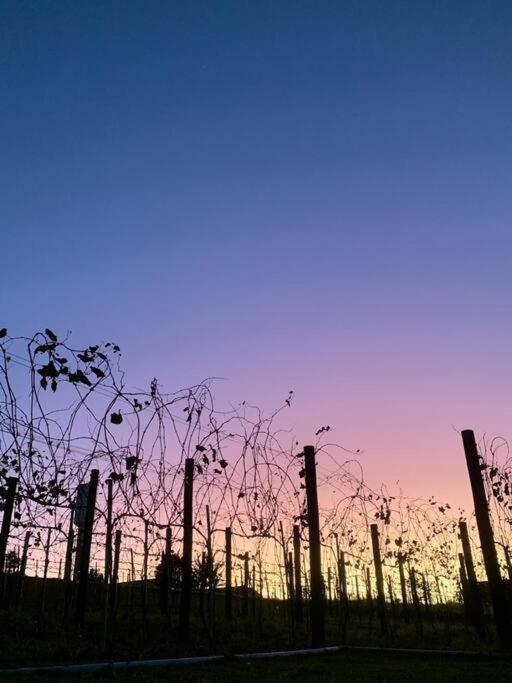 Quarto Dos Vinhos Villa São Roque Kültér fotó